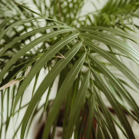 Appartement Quo Vadis