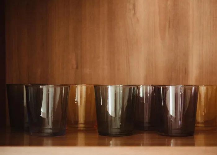 Quo Vadis דירה *